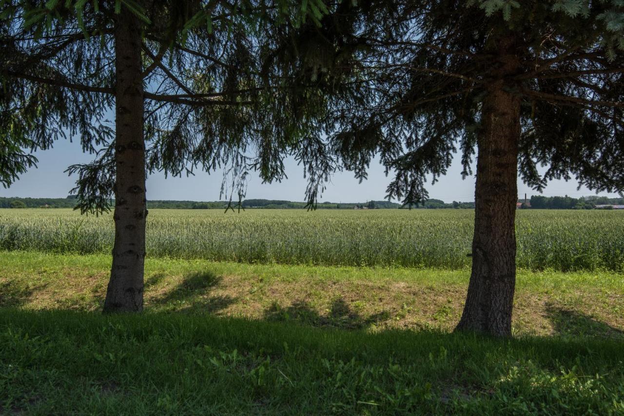 Posteleki Vendeghaz-Nyugalom Szigetei Villa Gyula Exteriör bild